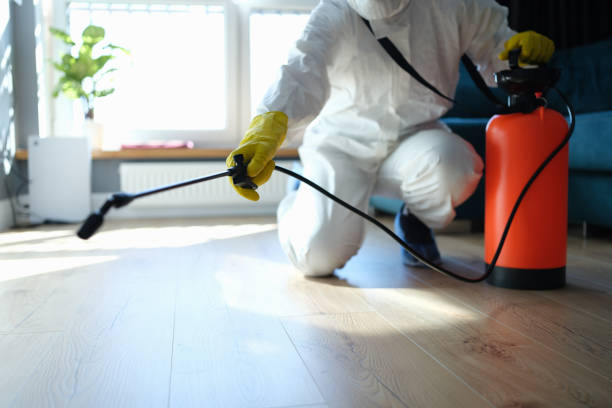 Reliable Odor Removal contractor in Washington, DC by Dulley Family Biohazard Services